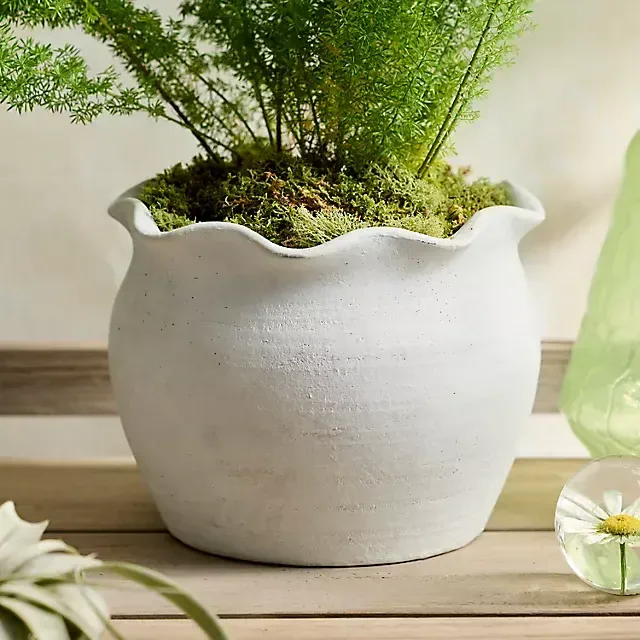 Terracotta Pie Crust Rim Planter, Round