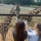 Asheboro Zoo