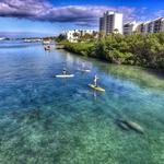 Blueline Surf & Paddle