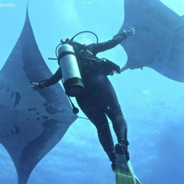 Scuba Dive Certification Fund