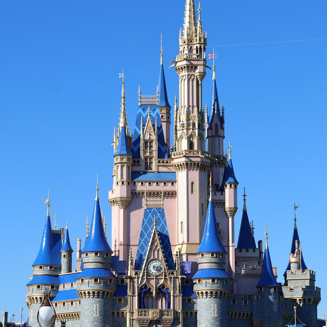 A Day of Magic at the Kingdom ✨🏰