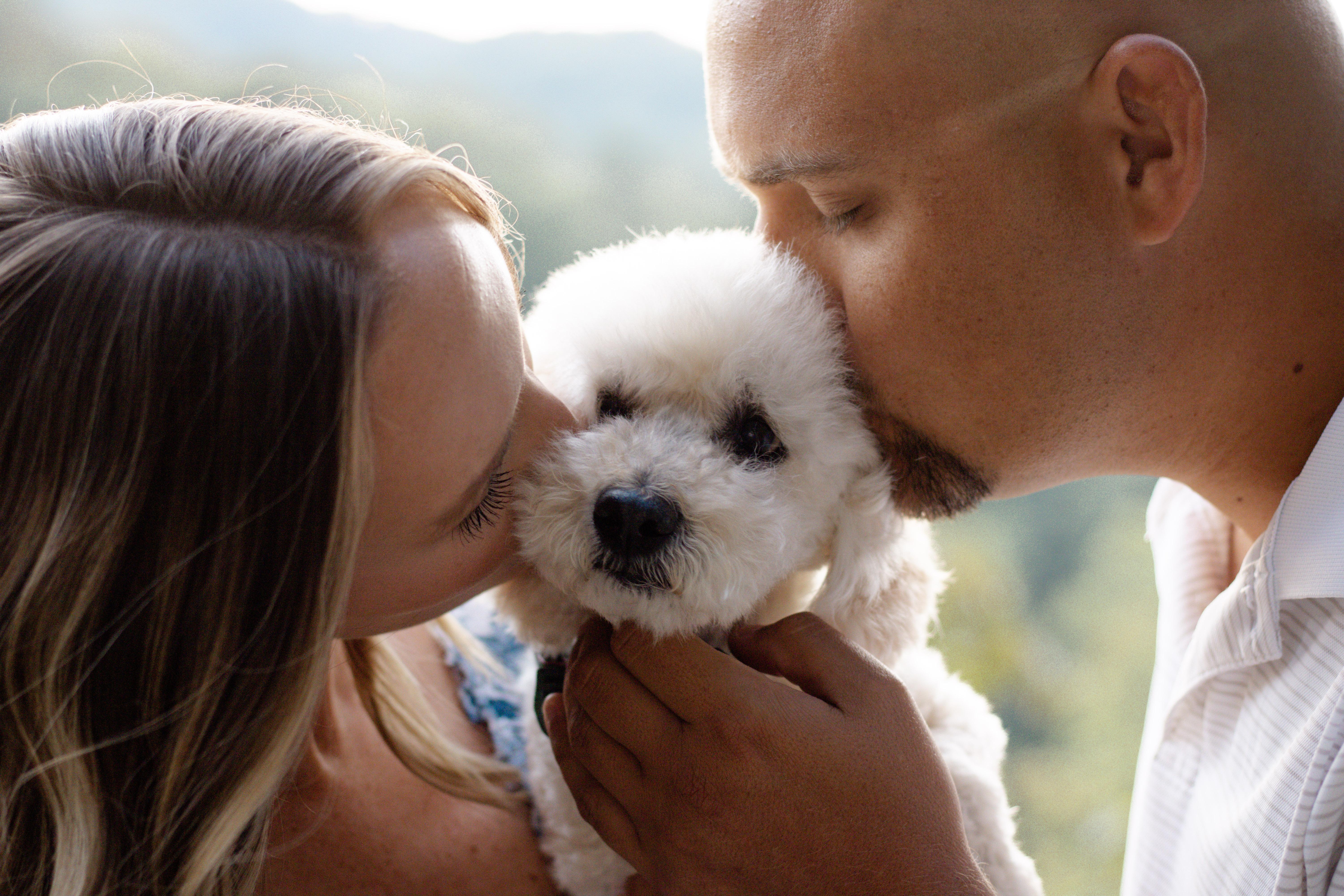 The Wedding Website of Brittany Lawson and Patrick Arwood