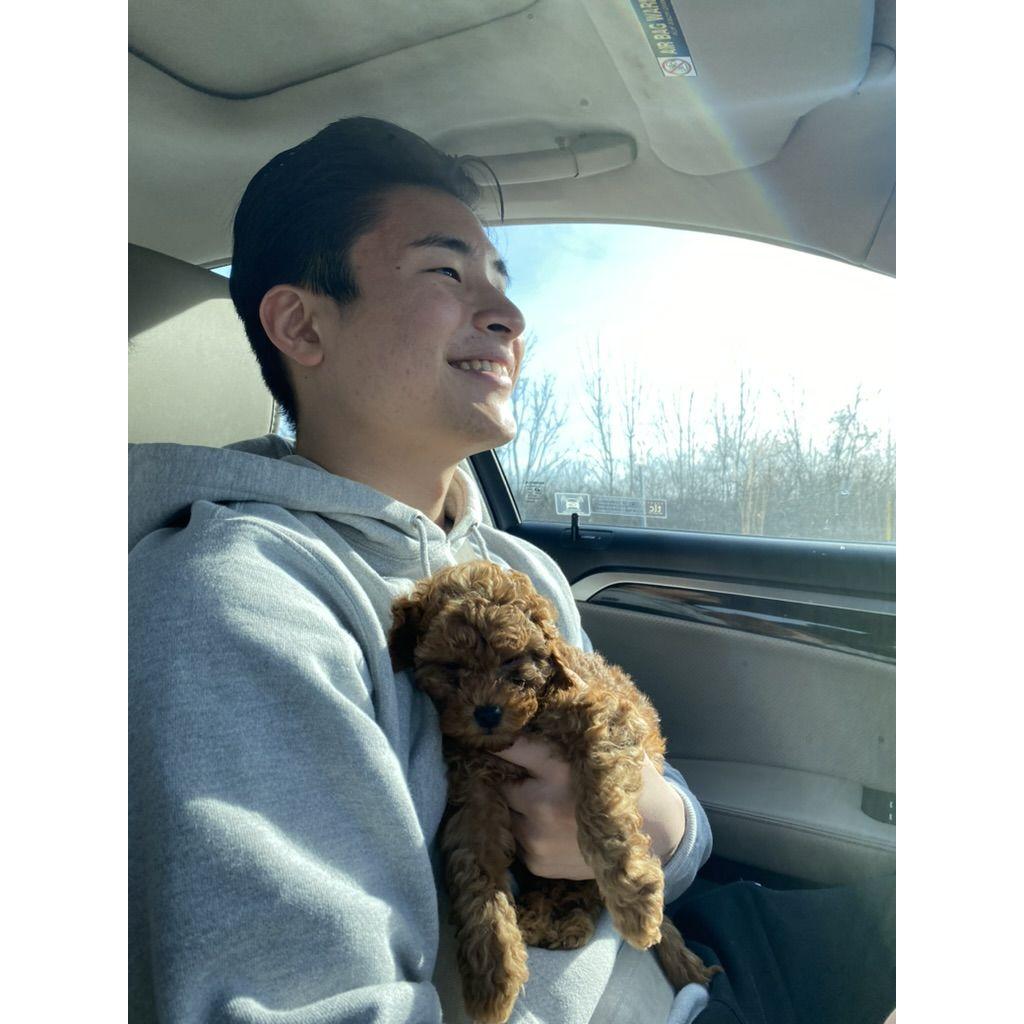 we spontaneously decided to get a dog, winter of our senior year