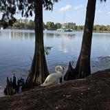 Lake Eola Park