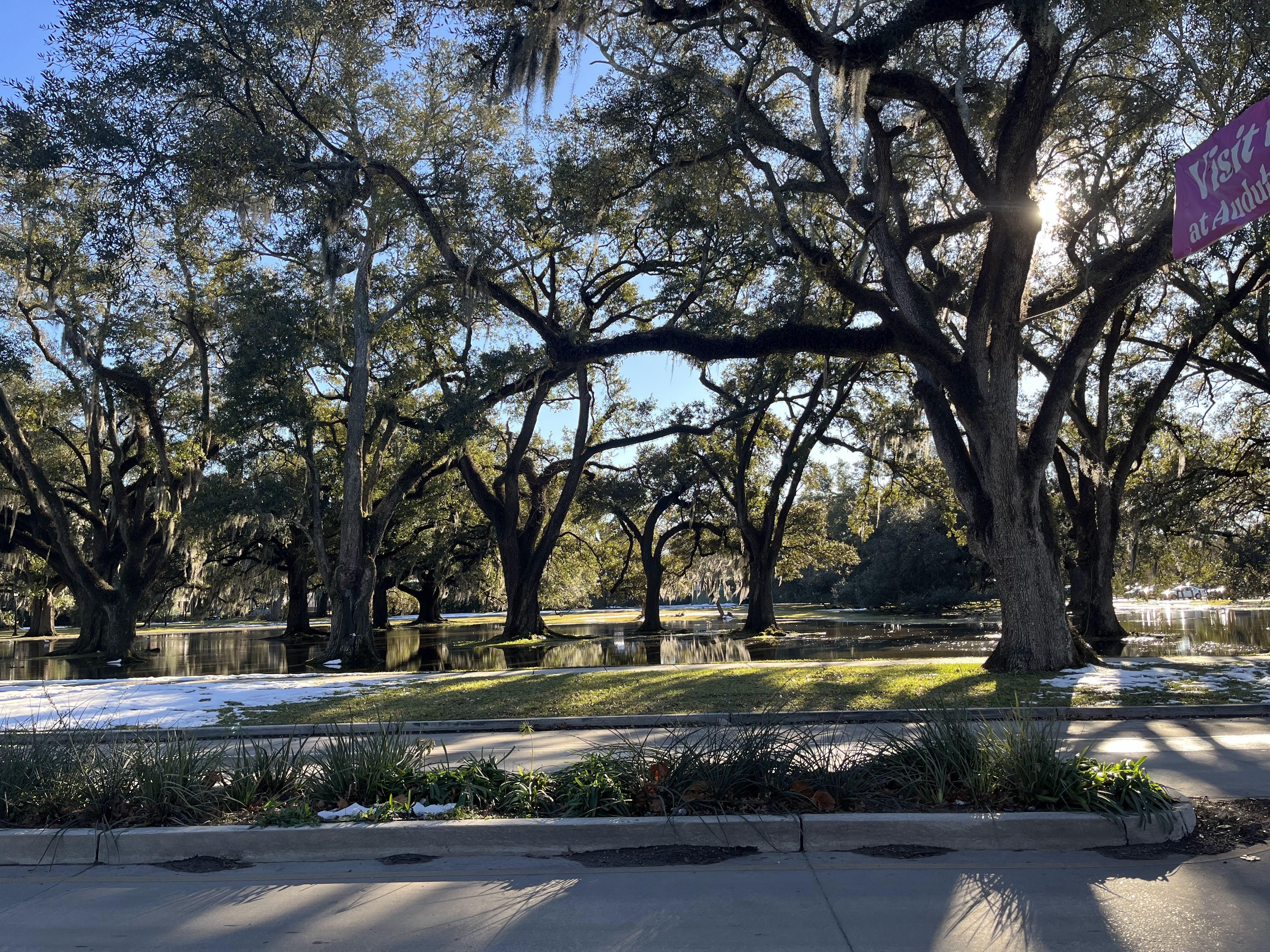 The Wedding Website of Lauren Hovel and Dane Flinchum