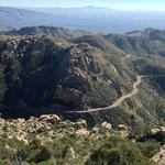 Drive up Mt. Lemmon Scenic Byway