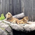 Cleveland Metroparks Zoo
