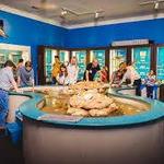 Museum of Coastal Carolina