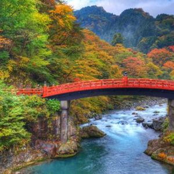 Nikko Forest Trek and Shrine Visit