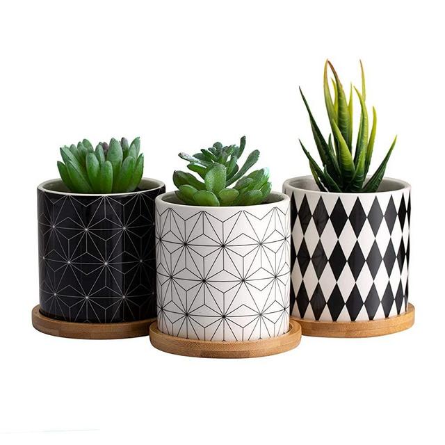Dsben 3.2 Inch Succulent Plant Pots, Small Modern Flower Ceramic Planter Indoor with Bamboo Tray for Cactus, Herbs, Home, Set of 3 (Plants Not Included)