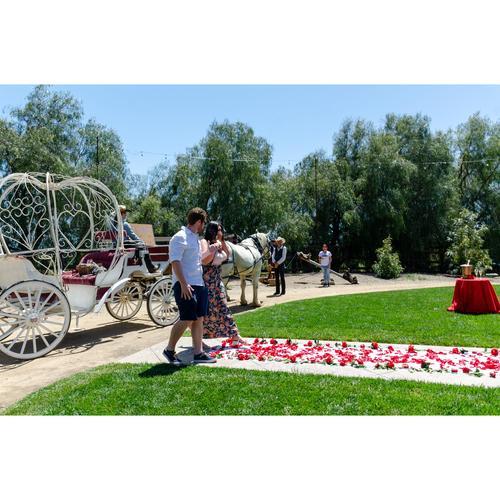Todd surprised me with a 2-hour horse and carriage ride before popping the question!