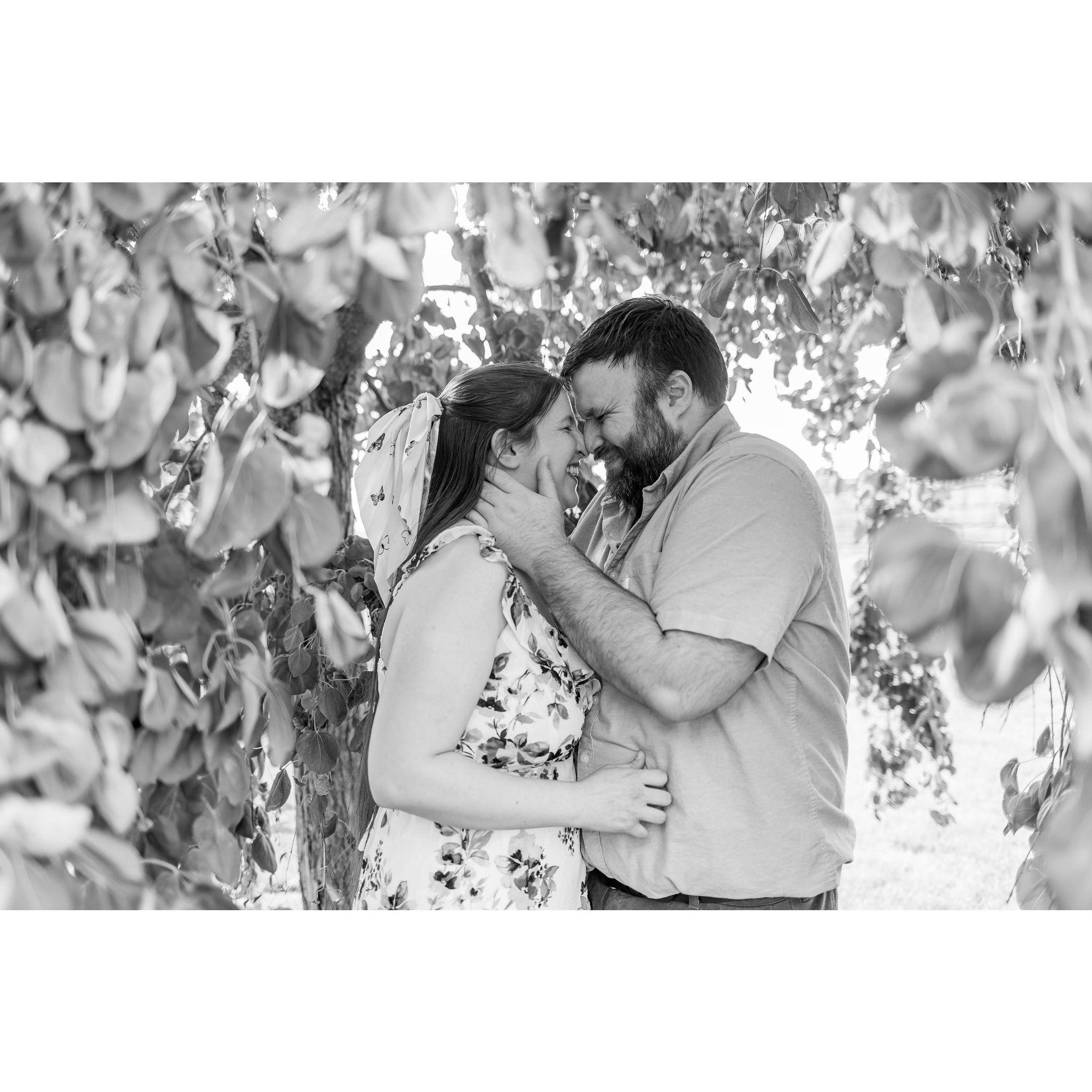 We did an Engagement photo shoot through Minnetrista's paths and gardens in June of 2023.