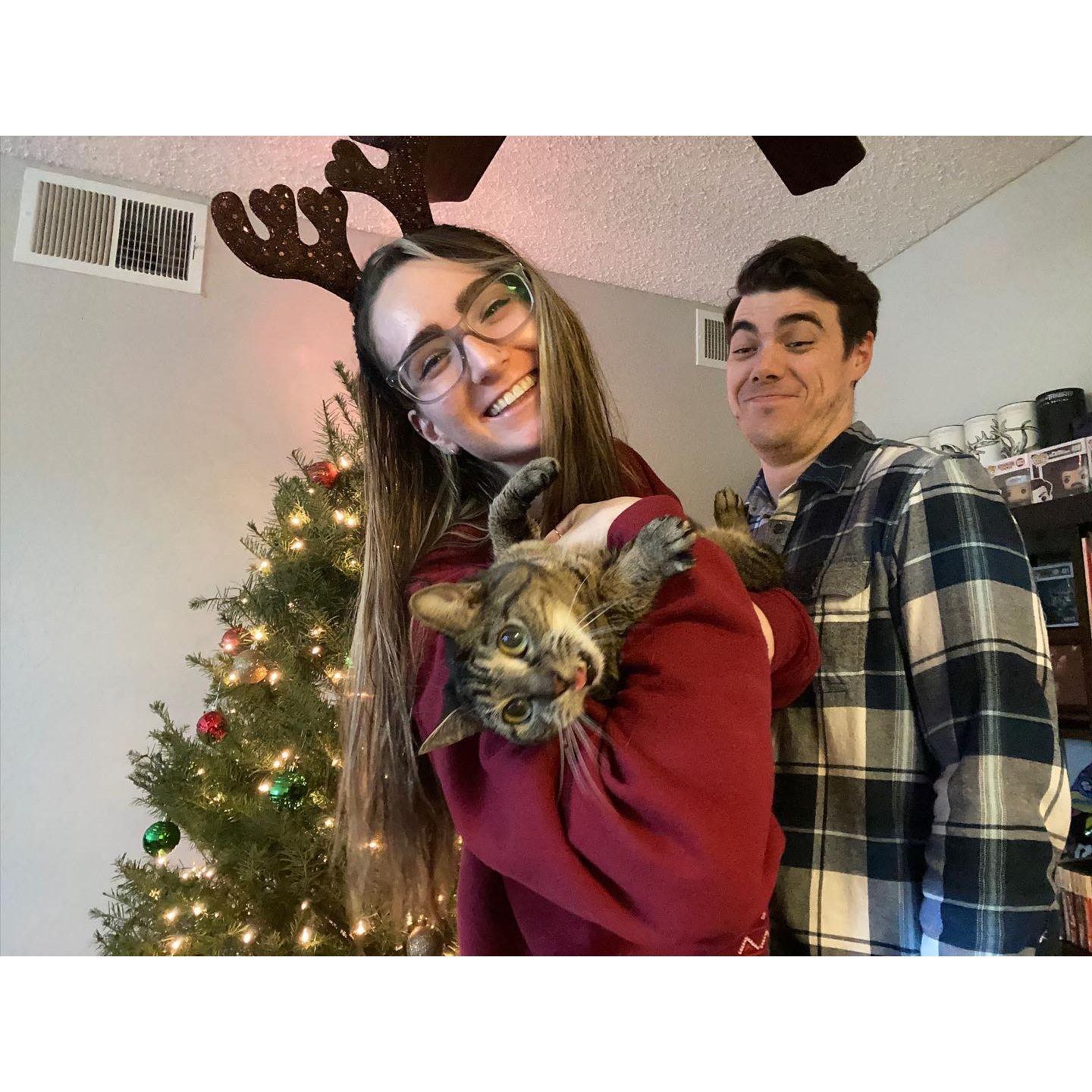 Our first Christmas after having moved in with each other; Lulu was thrilled.