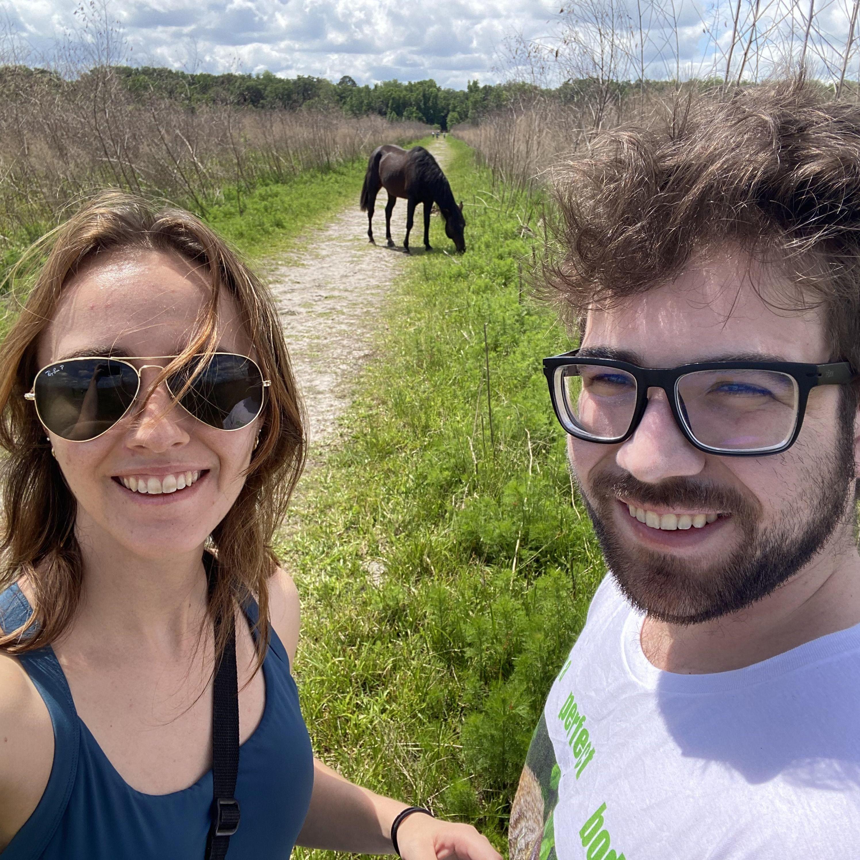 2024. During a walk in Payne's Prairie, Christian and Sarah were approached by a wild horse!