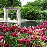 The Dallas Arboretum and Botanical Garden