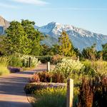 Red Butte Garden