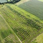 Corn Maze at Lazy Lilac Farm