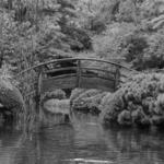 Fort Worth Botanic Garden