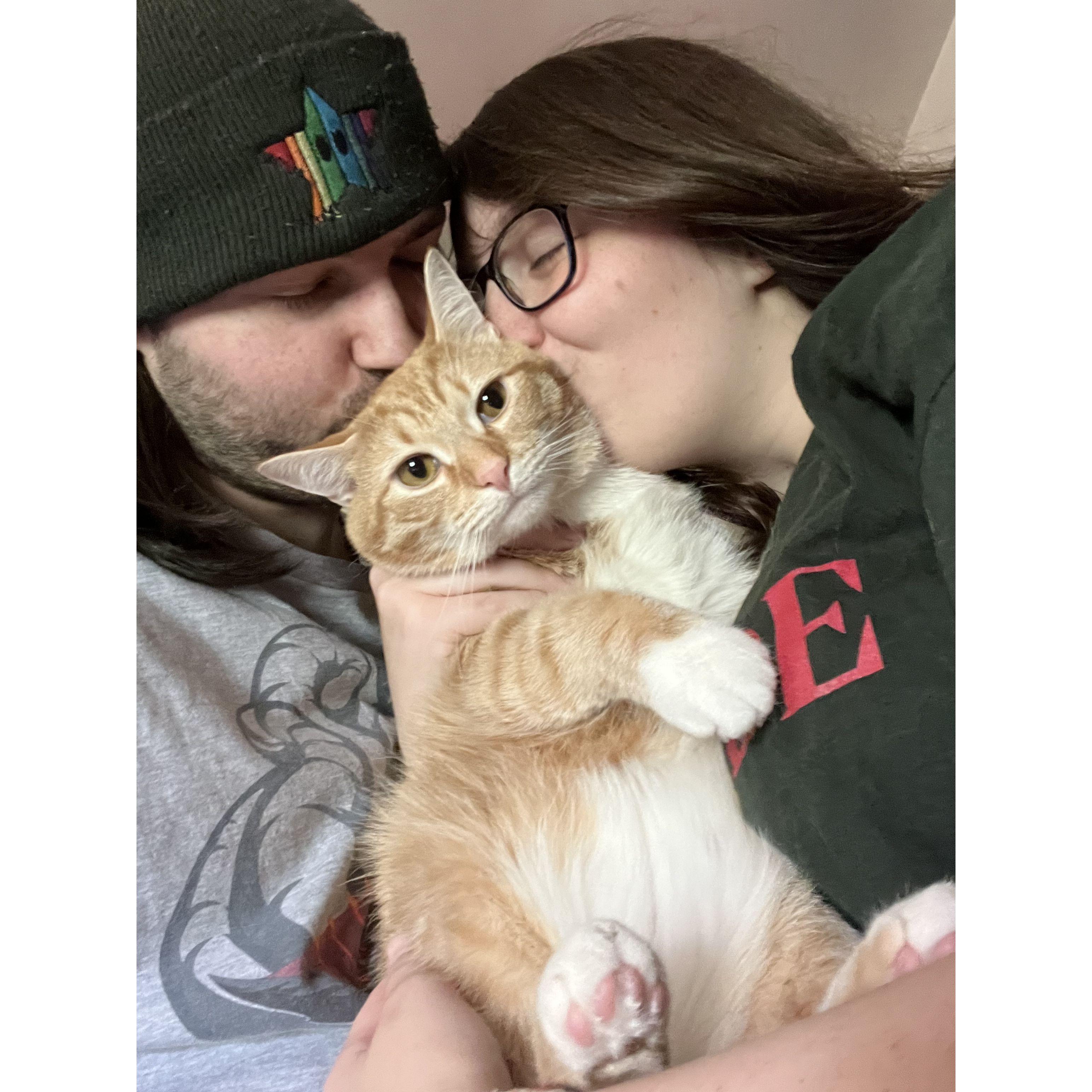 Matt and I cant express how much we love our kitties, they mean the world to us!