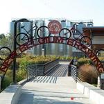 New Belgium Brewing Company