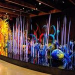 Chihuly Collection