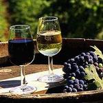 DC Estate Winery