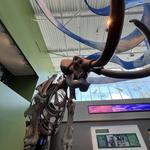 Florida Museum