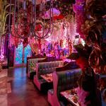 Cantina Tequila