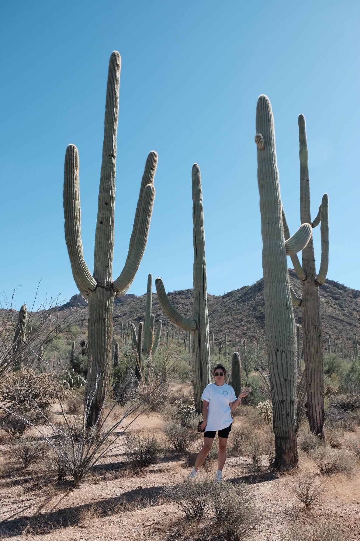 Scottsdale 2022