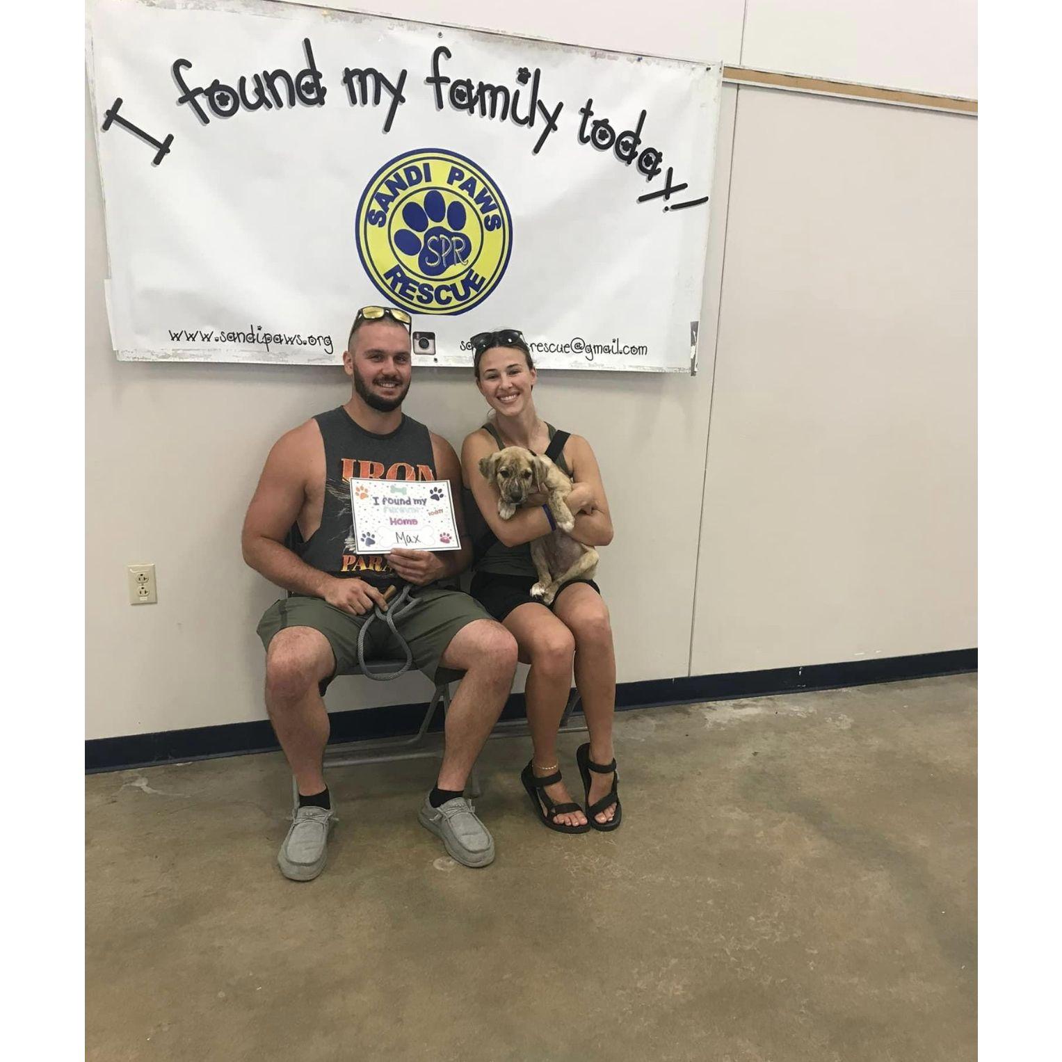 We rescued Goose