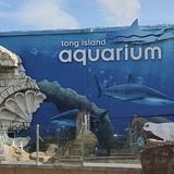 Long Island Aquarium