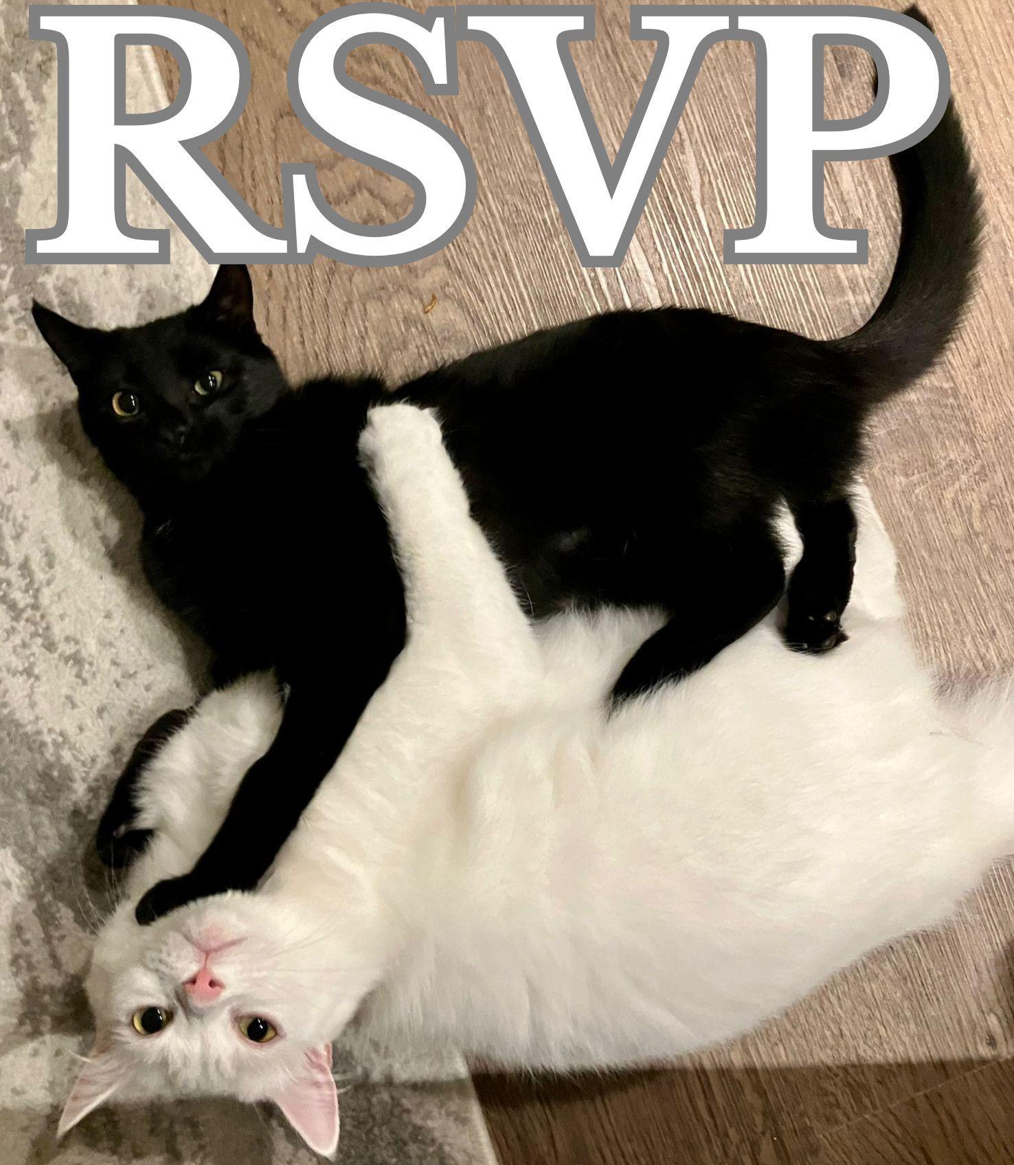 The Wedding Website of Hugo Queirós and Beatrice Sorce