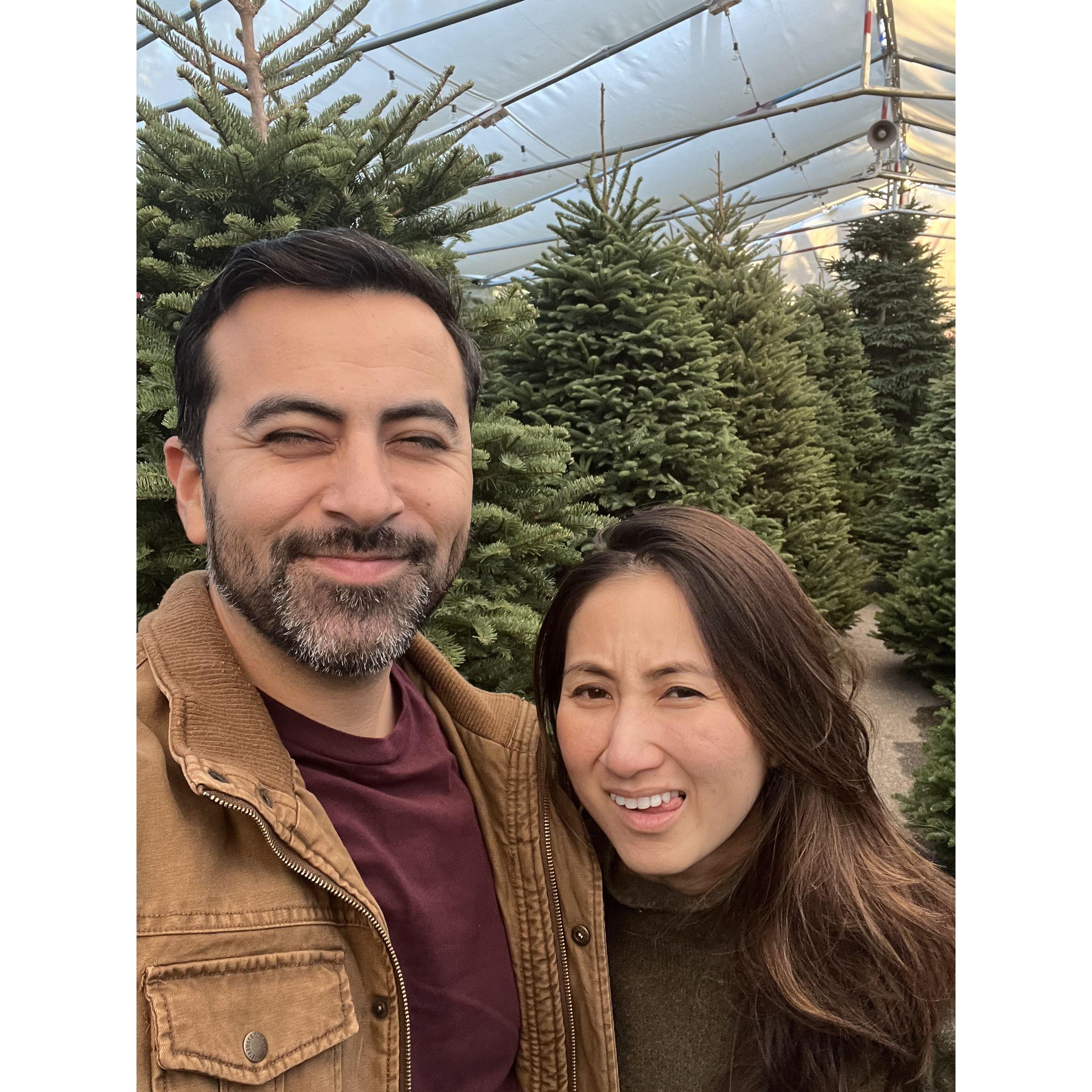 Shopping for our 1st Christmas tree!