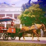 Sea Island Carriage Company