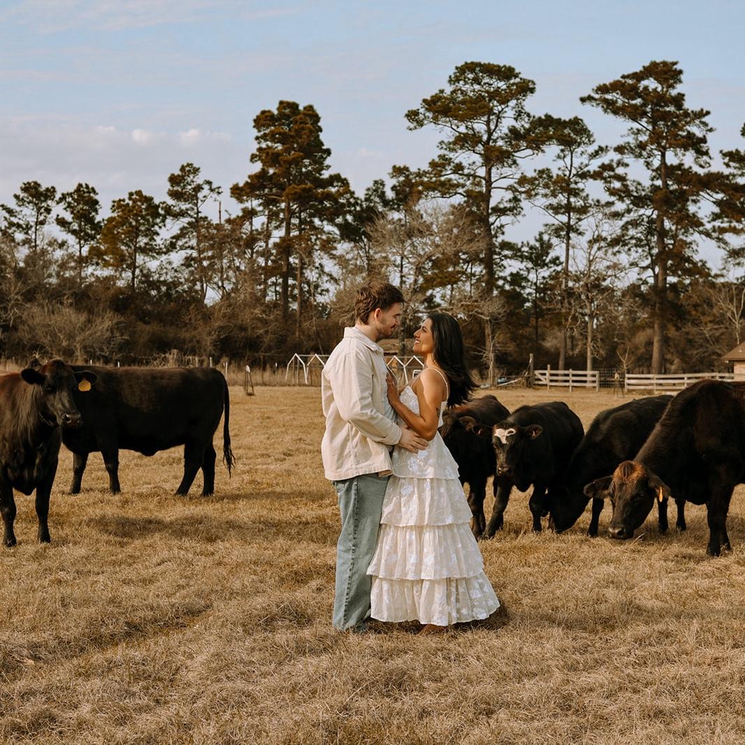 Surrounded by our moo moos ❣️