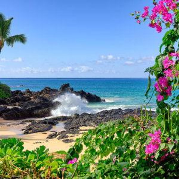 Hawaii Honeymoon Fund