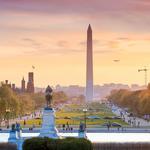 Washington D.C.