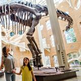 Fernbank Museum | 3D Theater | Forest