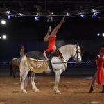 The Dancing Horses Theatre