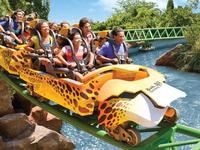 Busch Gardens Tampa Bay