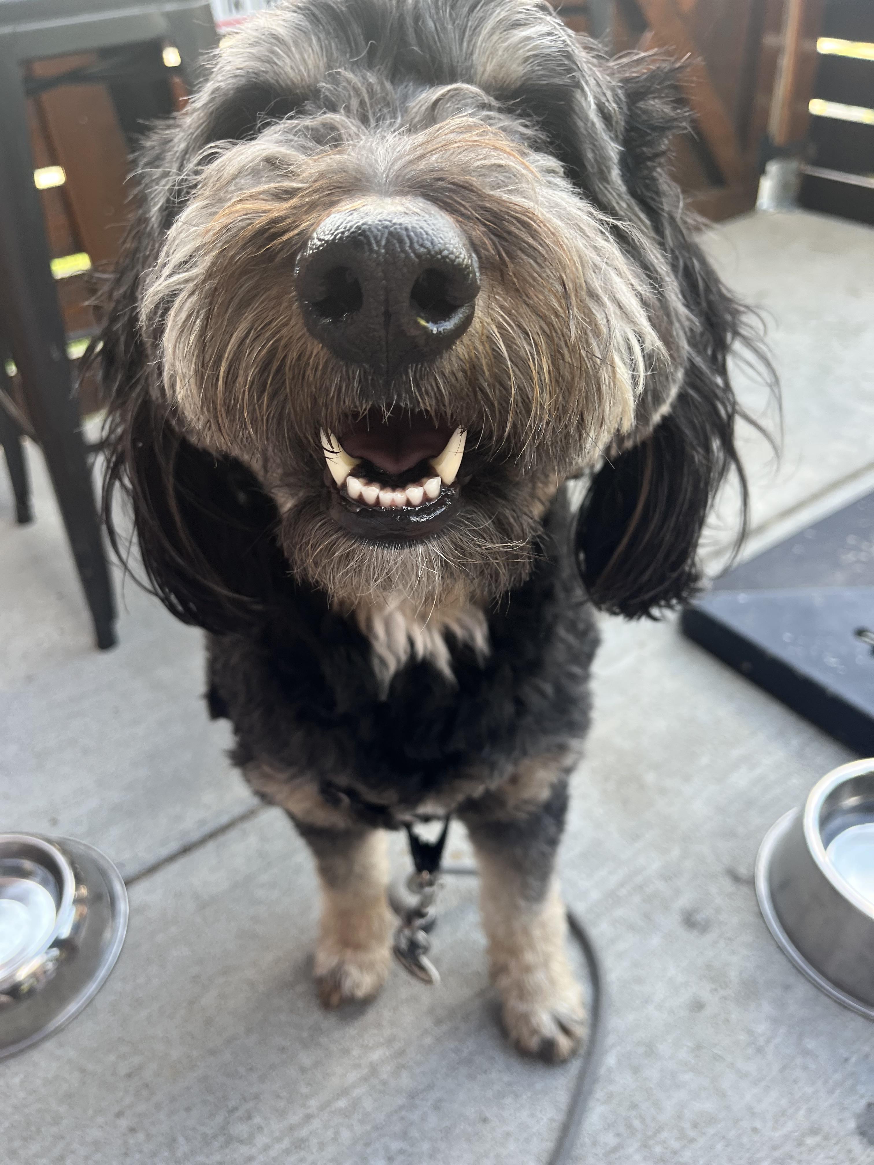 The Wedding Website of Kate Hamel and Greg Thompson