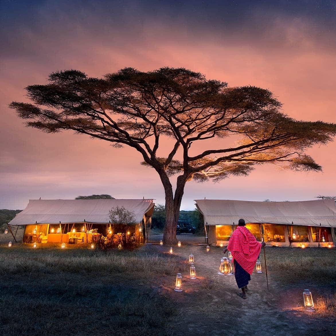 Serengeti Safari Honeymoon