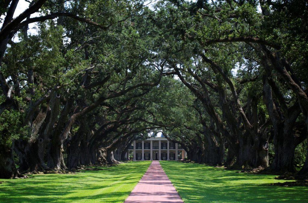 The Wedding Website of Kennedy Ward and Blake McCurdy