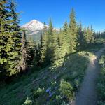 Mount Hood