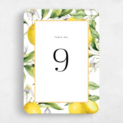 White Rounded Wedding Table Number - Praga