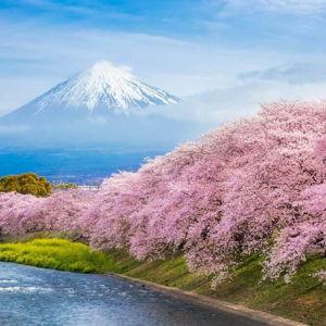 Honeymoon for Japan