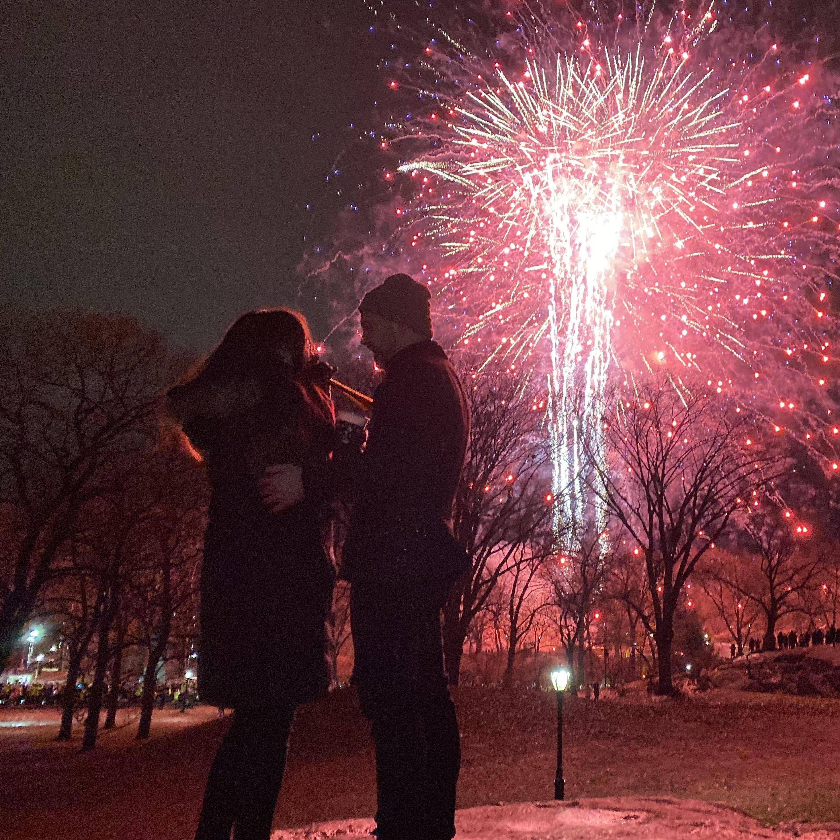 Proposal night in NYC’s Central Park 01/01/2020.
