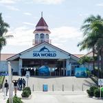 Sea World