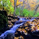 Waterfall Glen Forest Preserve