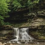 Fort Harrison State Park